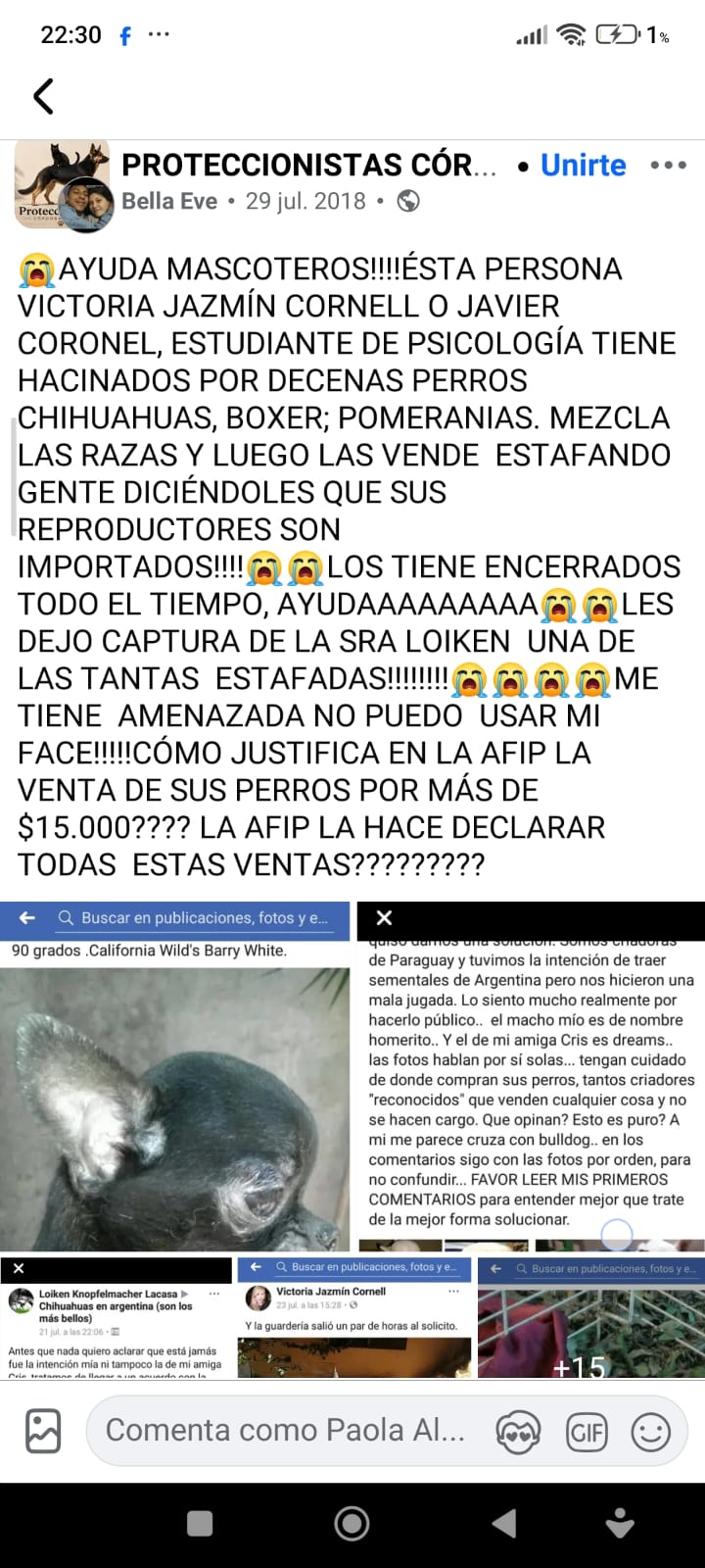 Imagen adicional