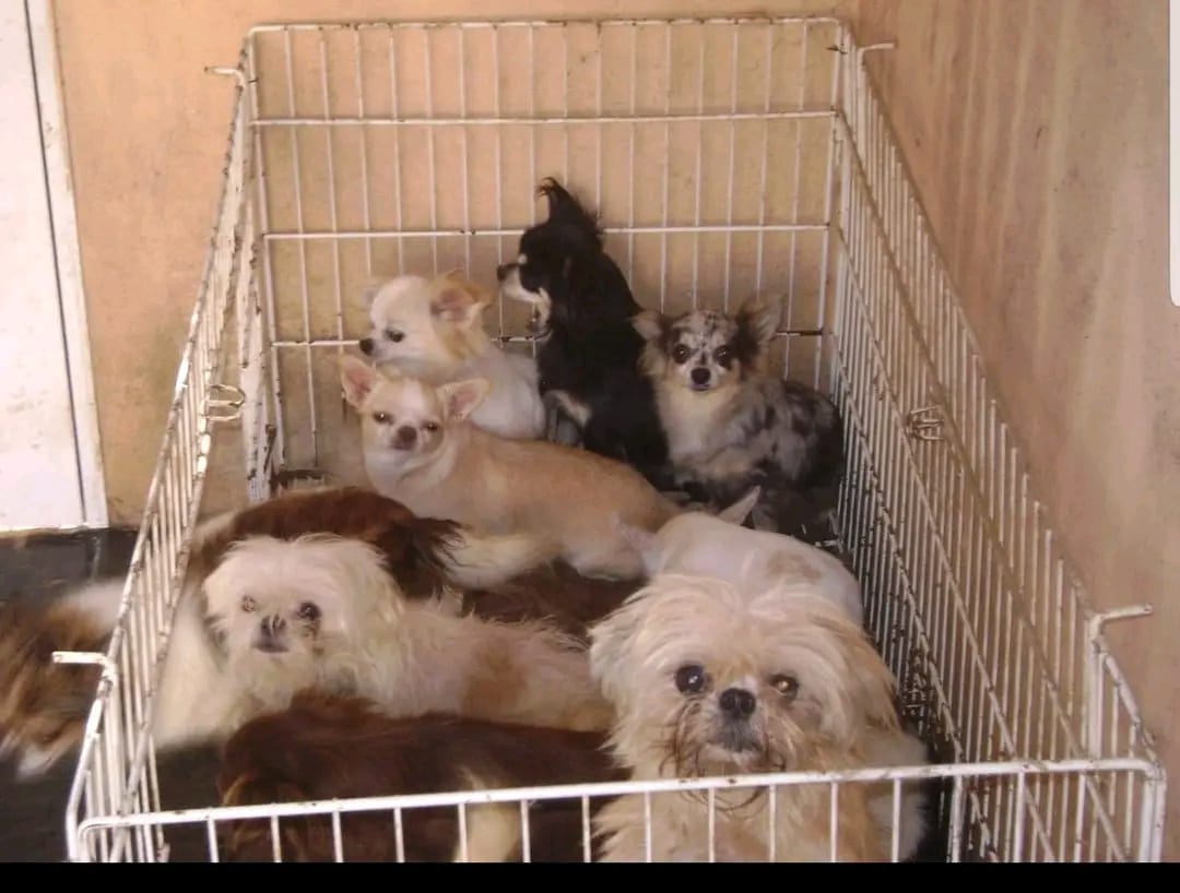 Imagen adicional