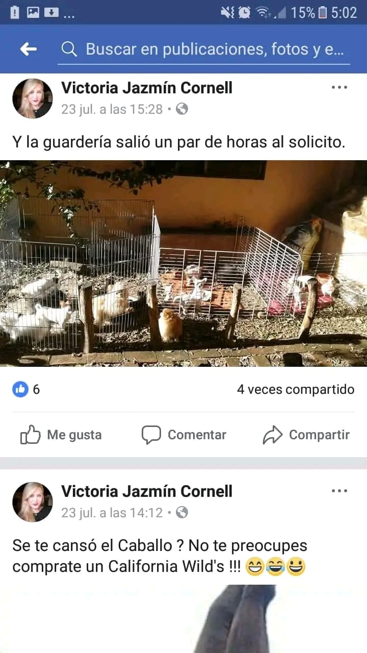 Imagen adicional